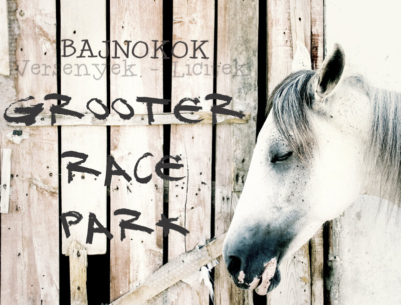 ♥Grooter Race Park♥